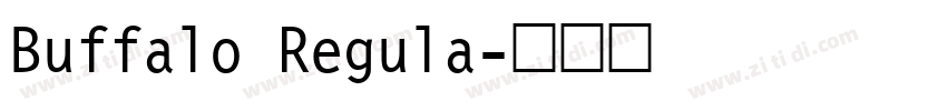 Buffalo Regula字体转换